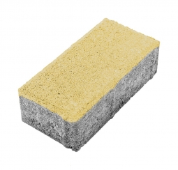 Тротуарная плитка Берит Прямоугольник Песчанник 200х100х60 без фаски на белом цементе