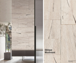 Камень Oblique Mushroom Stone